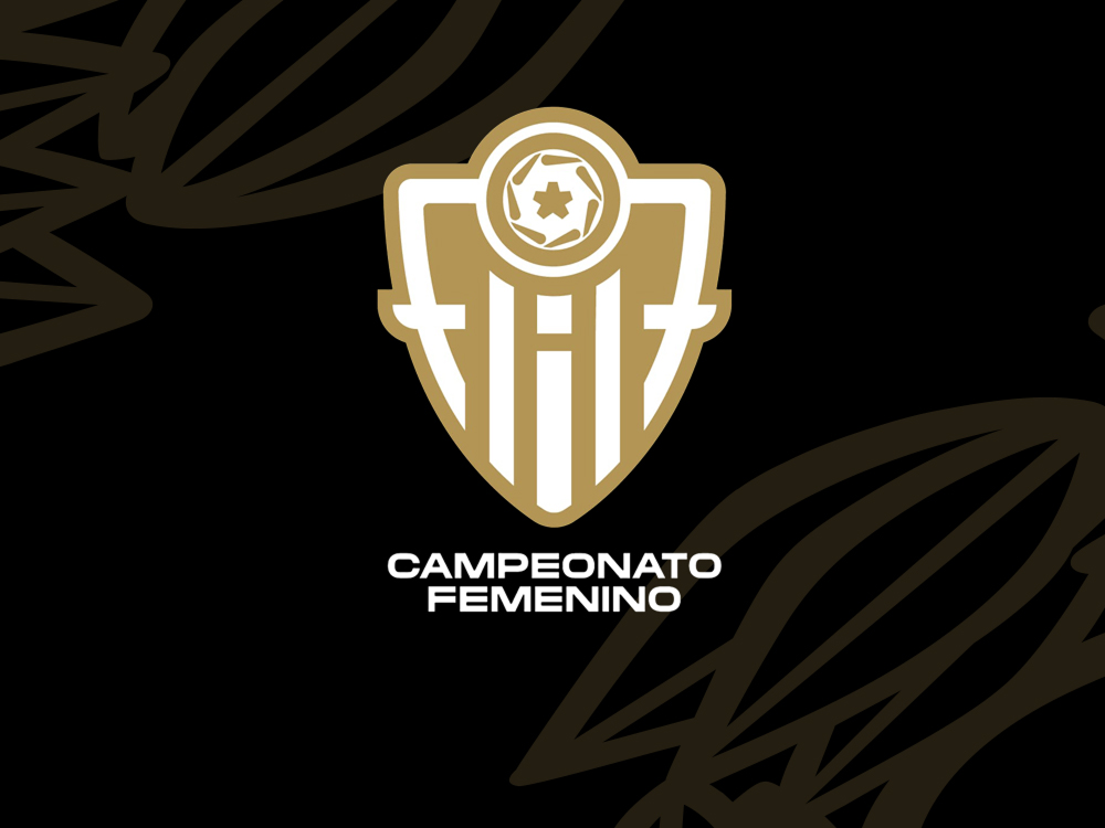 Liga femenina